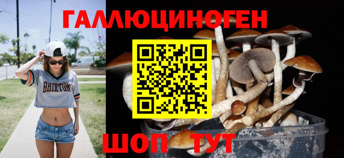 Псилоцибиновые грибы мухоморы Нарткала